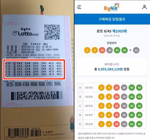 로또디비